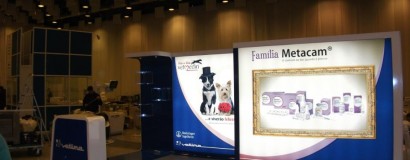 Implementação Stand VETLIMA